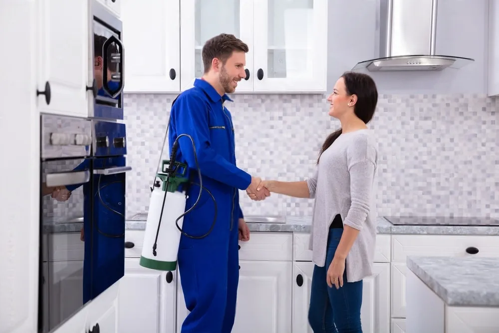 Pest Control Experts - Montebello Best Pest Pros | Montebello, CA